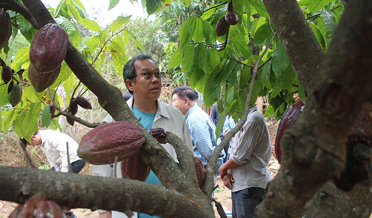 Senate leader urges students to develop local brands, calls for district-level competition